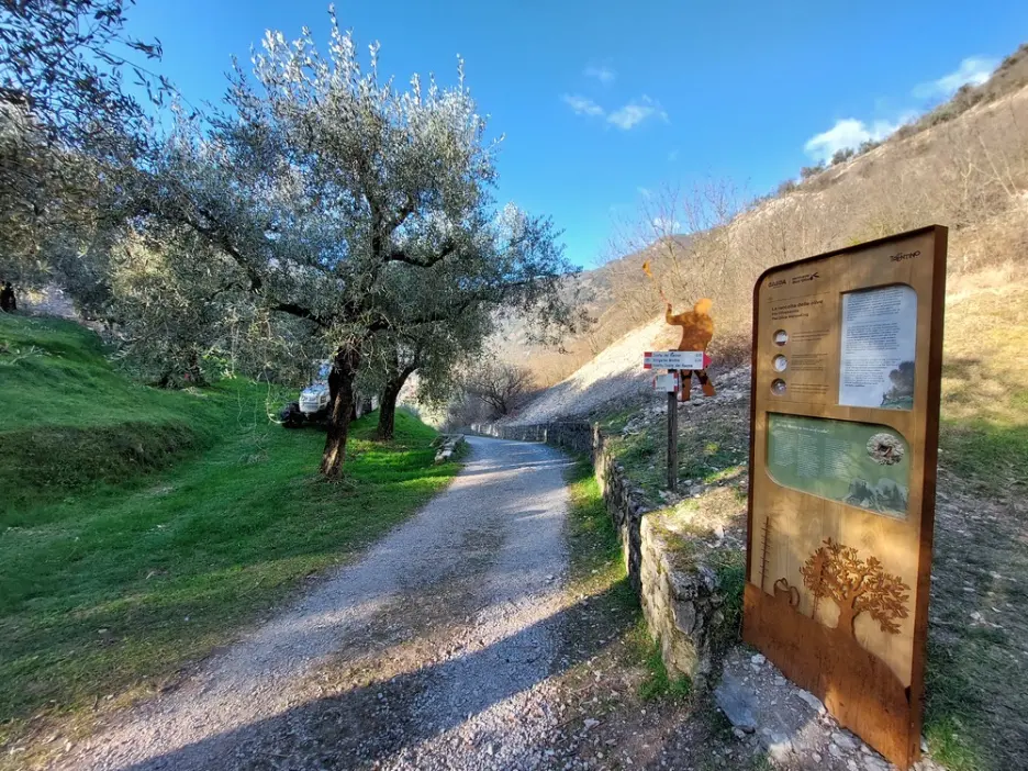 Exkurze za olivovým olejem: olivová stezka Lago di Garda